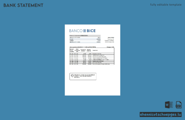 Chile Banco Bice Kontoauszug Excel-Version 2 Beispielvorschau